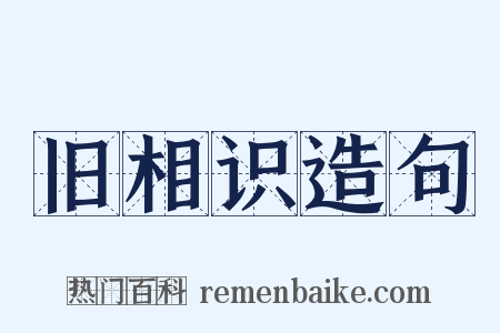旧相识造句是什么意思的图片
